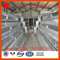 Poultry Equipment Automatic Chicken Cage